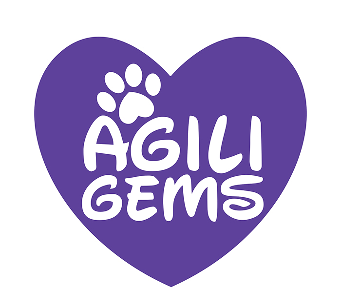 Agiligems logo design Melton Mowbray